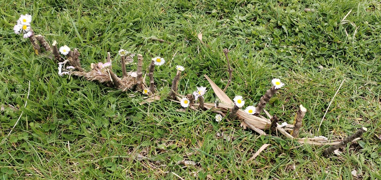 picture of nature art