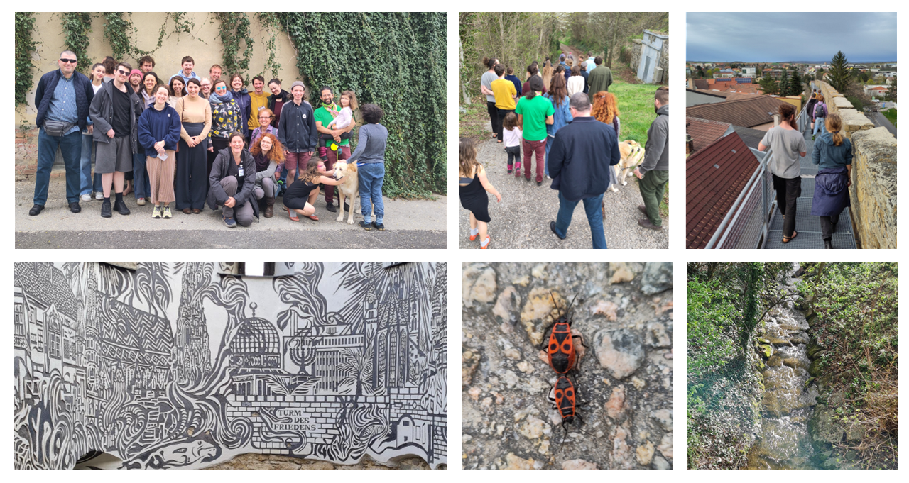 Photos of the EMEYF group, Firebugs, river, Town wall